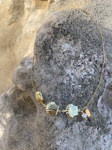 Sea Shell Chain Necklace